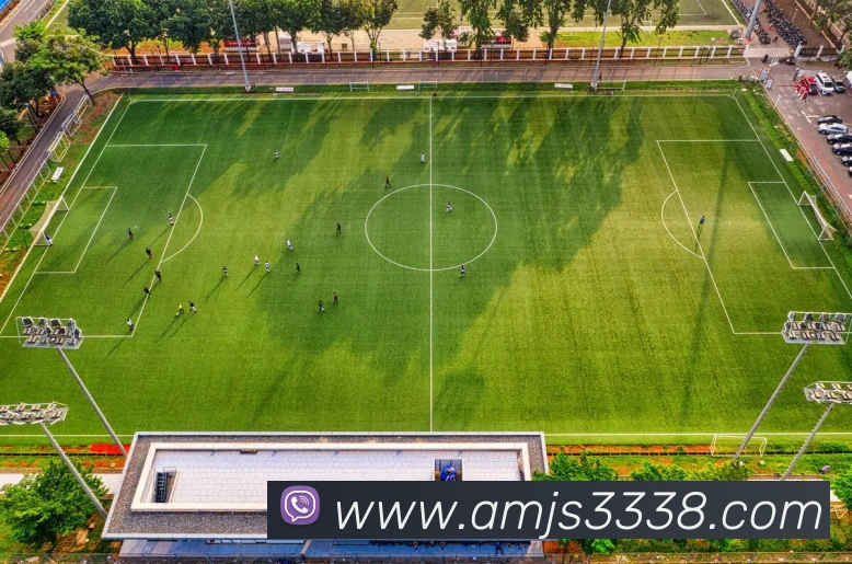 金沙集团服务体系