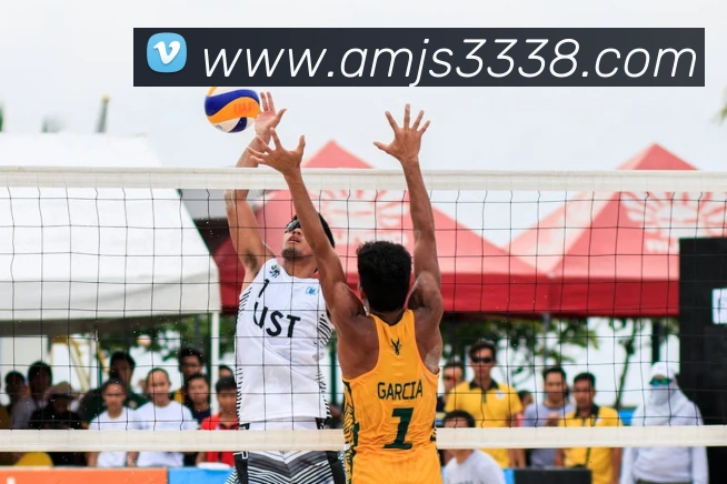 多媒体互动体验